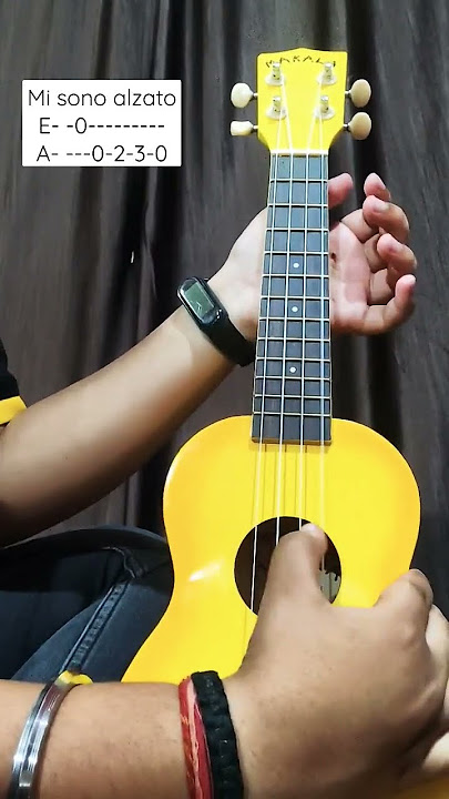 Ukulele - Bella Ciao | One String