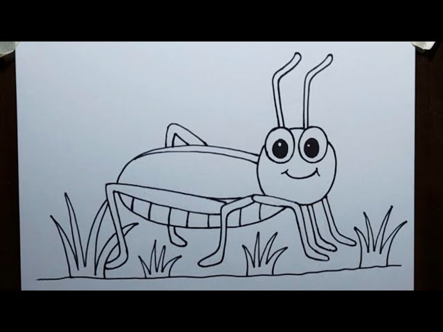 How to Draw a Grasshopper - Step-by-Step