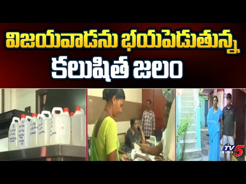 విజయవాడను భయపెడుతున్న కలుషిత జలం  Vijayawada People Suffers From Contaminated Water | TV5 News - TV5NEWS