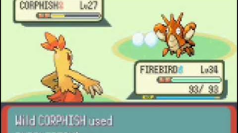 Pokemon Emerald Adventures Part 34