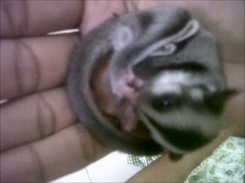 สุดที่รัก.wmv