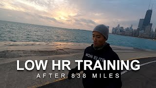 Maffetone Low HR Training After 838 Miles  Houston Marathon Race Predictions