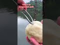 Снасть для осторожной рыбы 🎣