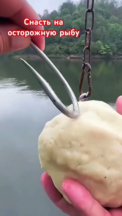 Снасть на осторожную рыбу #рибалка #карп #carpfish #fish #рыбалка # ...