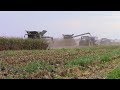 2,800 Acre Corn Field Question and Answer Video