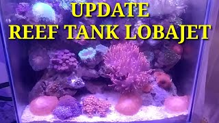 UPDATE REEF TANK LOBAJET