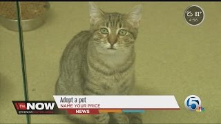Adopt a pet, name your price
