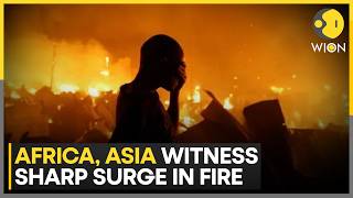 Global Wildfires: Scientists Warn Situation May Worsen With Summer Arrival | WION