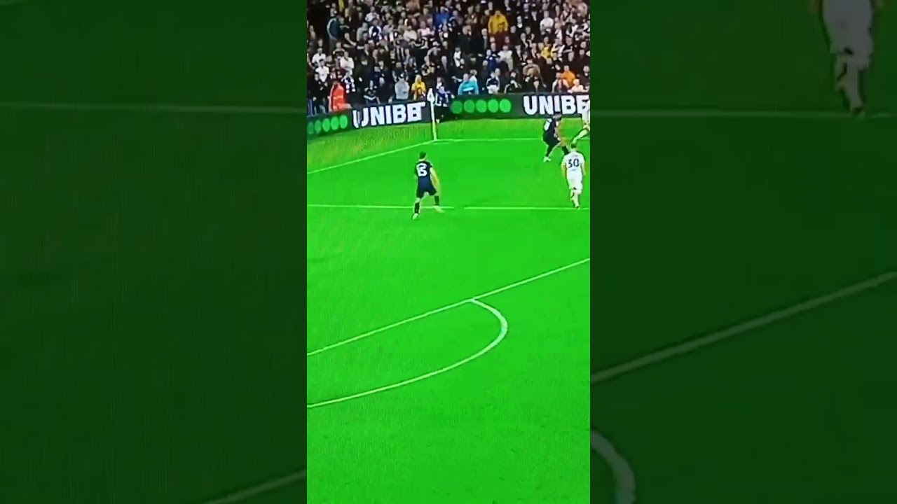 we don't need Donnarumma or neuer, We have Alex Palmer WBA#