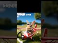 cutest rabbit in the world #shorts #vidio #vidioviral #rabbit