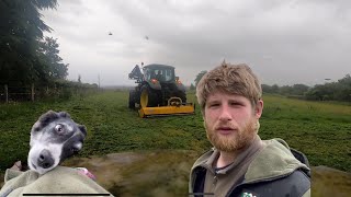 Tractor work, rain and Kate the sheepdog