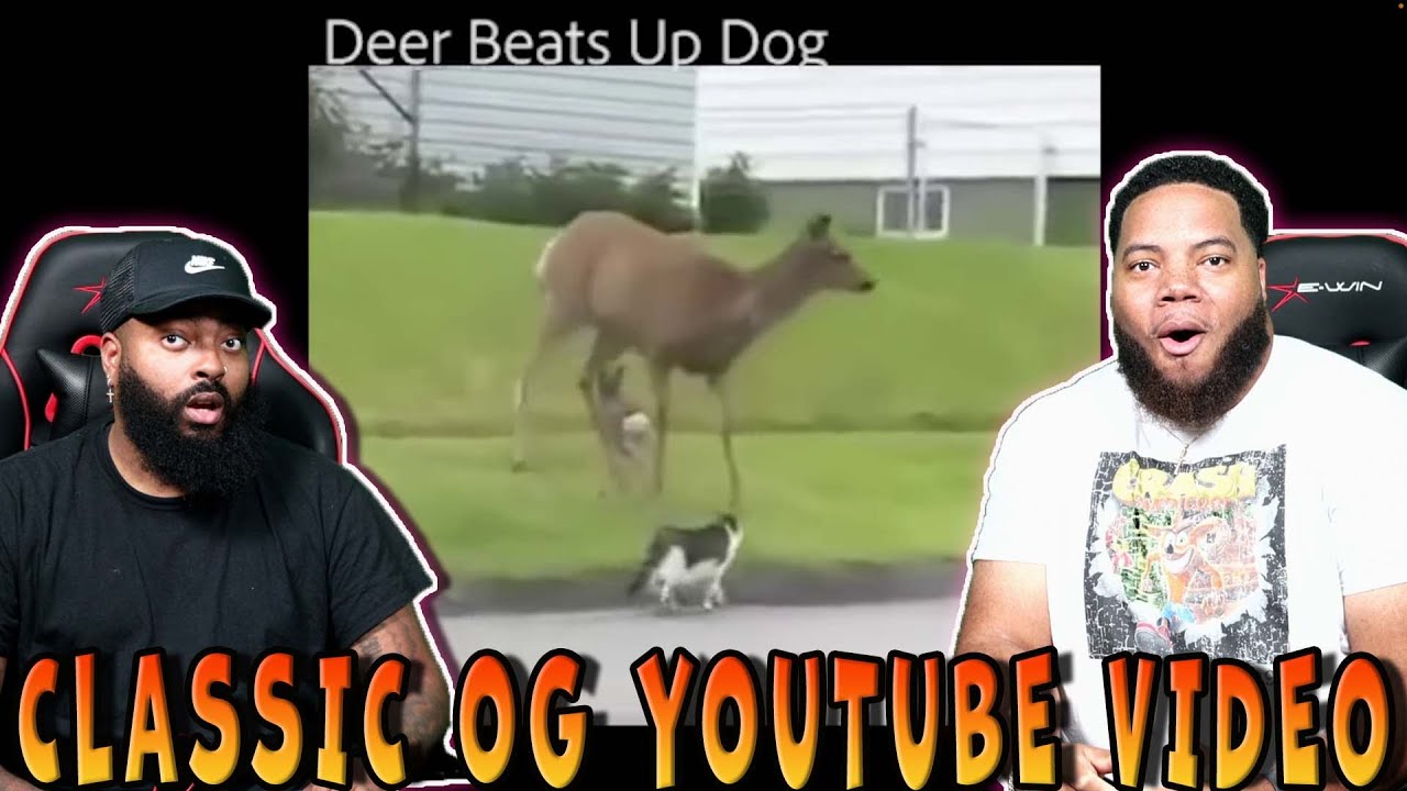 INTHECLUTCH REACTS TO 10 MIN OF HOOD VINES COMPILATION 2023 PART 7 (YOUTUBE FRIENDLY VERSION)