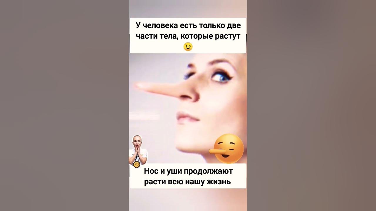Нос и уши продолжают расти всю нашу жизнь #интересно #молоток - YouTube