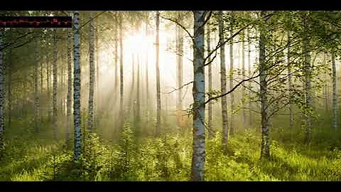 Broadcastinggraduation Tie vzrqetqdlf