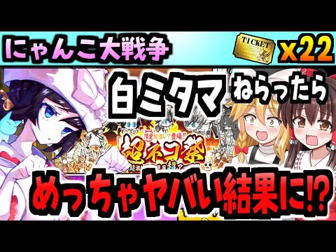 【にゃんこ大戦争】ゆっくり実況@超ネコ祭 レアチケット でついに神引き結果をだしてしまった!後半ネコ道場不死鳥大会 脱初心者プレイ 【無課金】