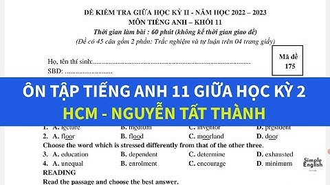 Bài tập ôn tập cuối học kỳ 2 lớp 11 năm 2024