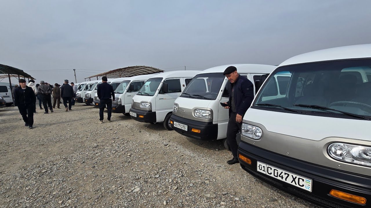 25 февраля 2026  TEL 95 633 03 03