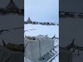 Nenets Packing Up Nomadic Migration Chum Tents Shorts Nonets 