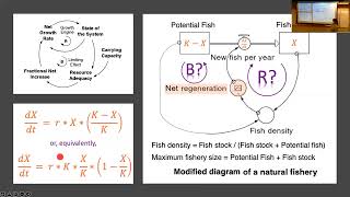 Celebrity SOS 212: Lecture E4 (2022-03-22): Chapter 06, Dynamics of Growth and Diffusion (Morecroft, 2015) Net Worth