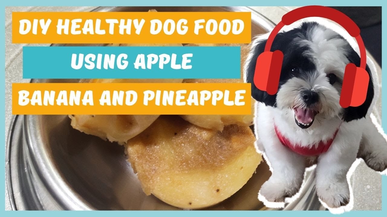 Recipe for a Carrot Apple Dog Popsicle - Pet With It