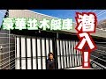 潜入してみた！豪華すぎる男の憧れ！夢のT.NAMIKIフィッシングルーム略してTNFR