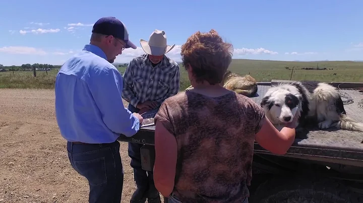 Conservation for the Future - Kleinjan Ranch, Chin...