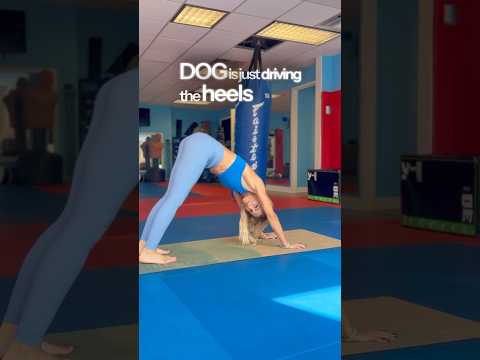 حس ن وضعية الكلب المتجه للأسفل محاذاة تقوية وتمديد نصائح يوغا للمعصمين والكتفين والوركين