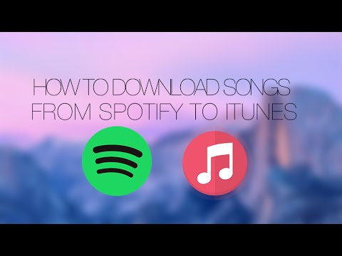 Free spotify music converter download