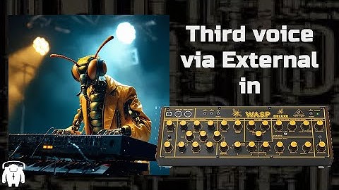 Behringer Wasp - external input as third 