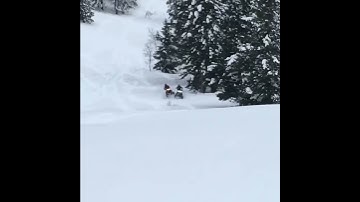 850 Skidoo vs Arctic Cat M8000