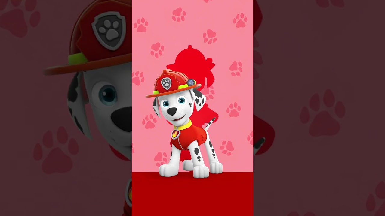 狗狗穿牆大挑戰! #short 縮圖