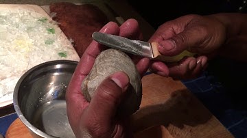 How To Shuck Clams & Oysters From Maine