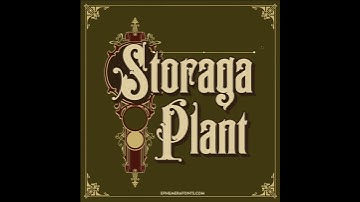 Timelapse - Vintage Labels Design.