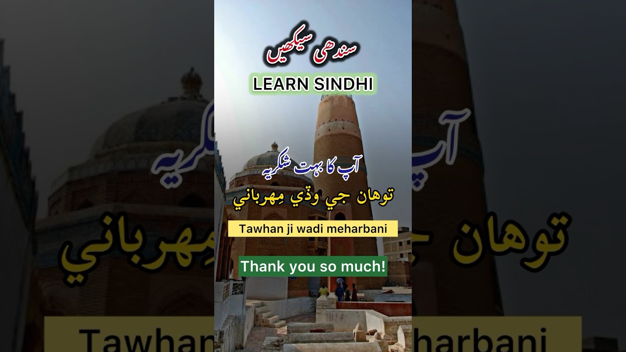 Learn Sindhi | Sindhi Speaking | Daily 4 sentences in Sindhi #shorts #sindhilanguage #sindhitutorial