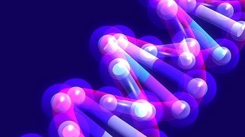 DNA double helix: how James Watson and Francis Crick cracked the secret of life