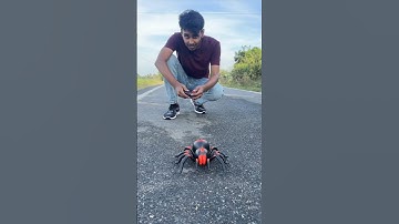 Remote Control Spider #shorts  #trending #spider