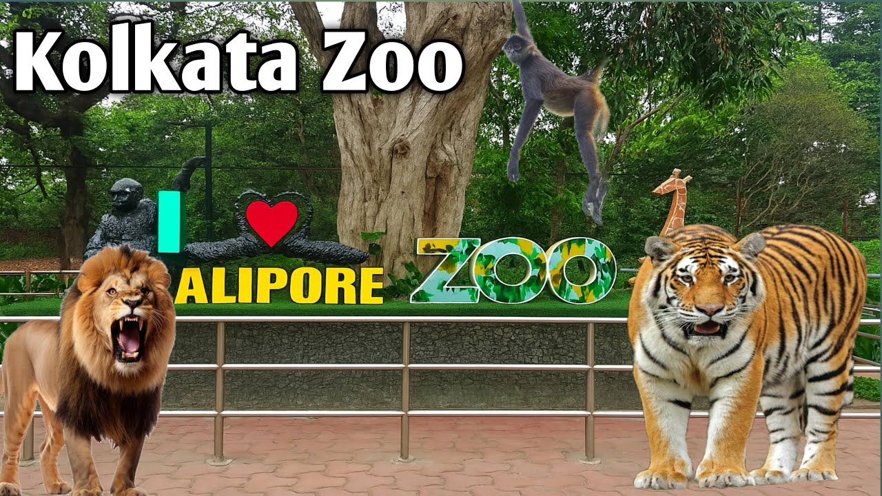 Kolkata Zoo 🦁 | Alipore Zoo Full Tour 2026 | कोलकाता चिड़ियाघर पूरा वीडियो | SonuVlogsWorld