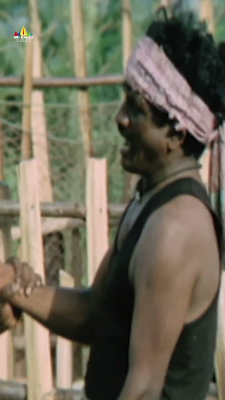 Vadivelu's Hilarious Comedy | #ballem | #comedy | #ytshorts | #youtubeshorts | #sribalajivideo