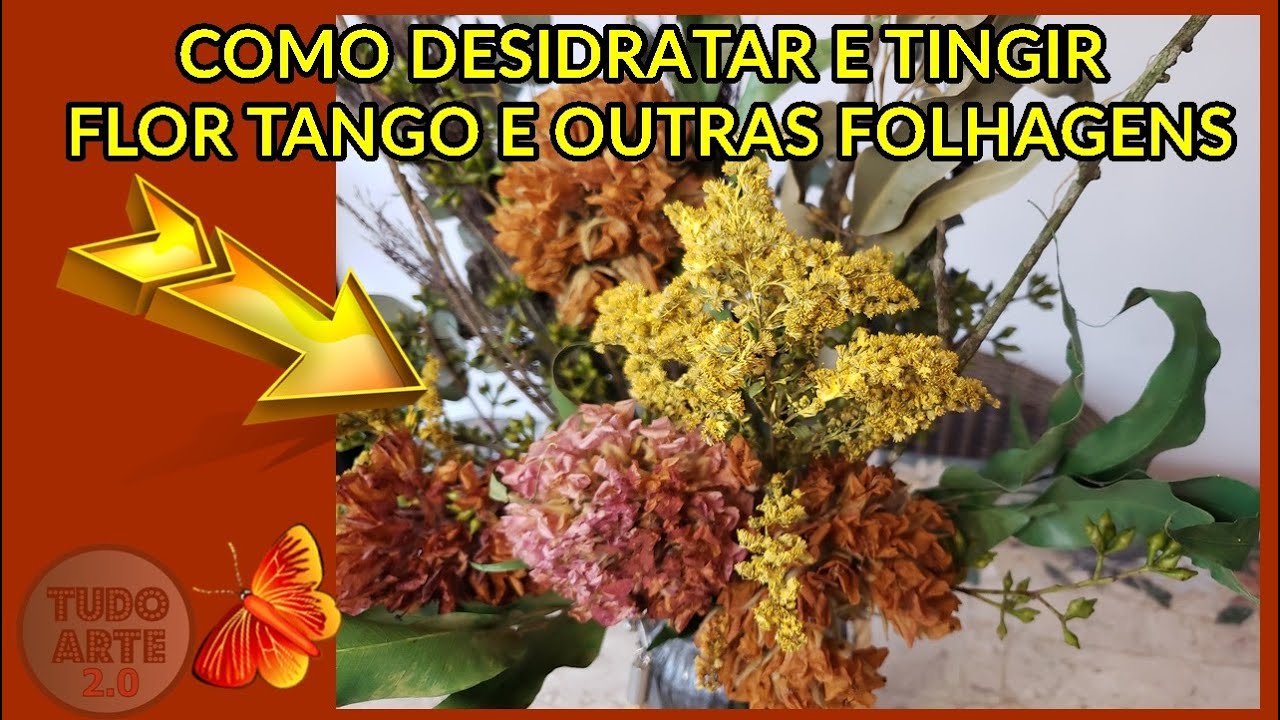 Como Desidratar e tingir Flor Tango, folhas de Eucalipto e outras  folhagens. - thptnganamst.edu.vn