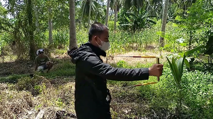 OLD TUGAS' TREE Detect by🧲U-TELESCOPIC LR vs AURA METER' (Center point) and dimensions ground type 💯