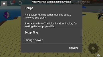 FE Fling script (no joke and clickbait)