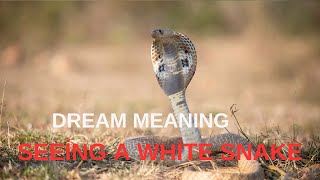 - Seeing a White Snake - Seeing a White Snake in a Dream (Snake Dreams) snake animals