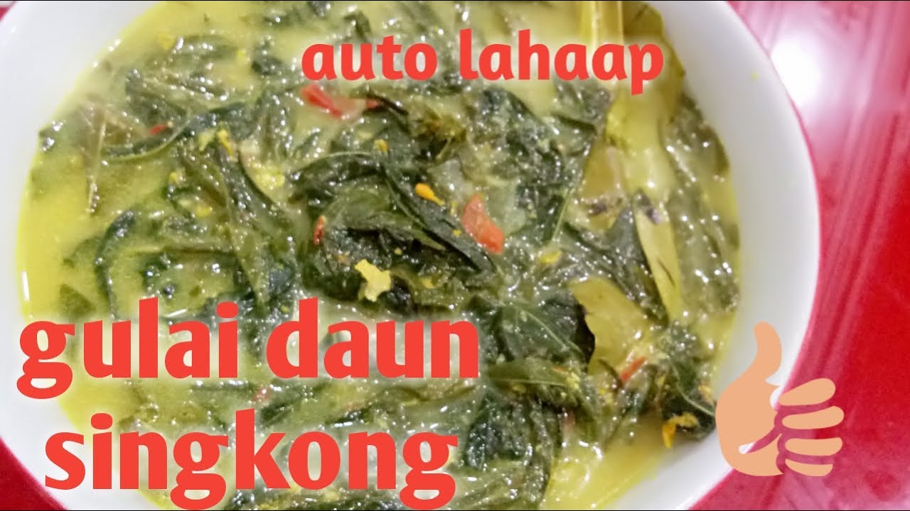 Gulai daun  singkong  enak cara  membuat  gulai daun  