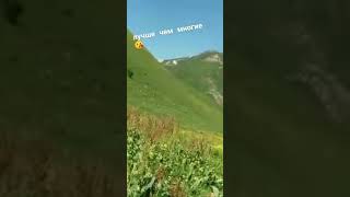 Гимн Кыргызстана, Кара Кулжа жайлоо Ош, озгон