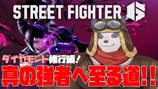 【SF6/スト6】マスターに上がりたいパンダの奮闘記【摩耶パンダ/ケモノVTuber】