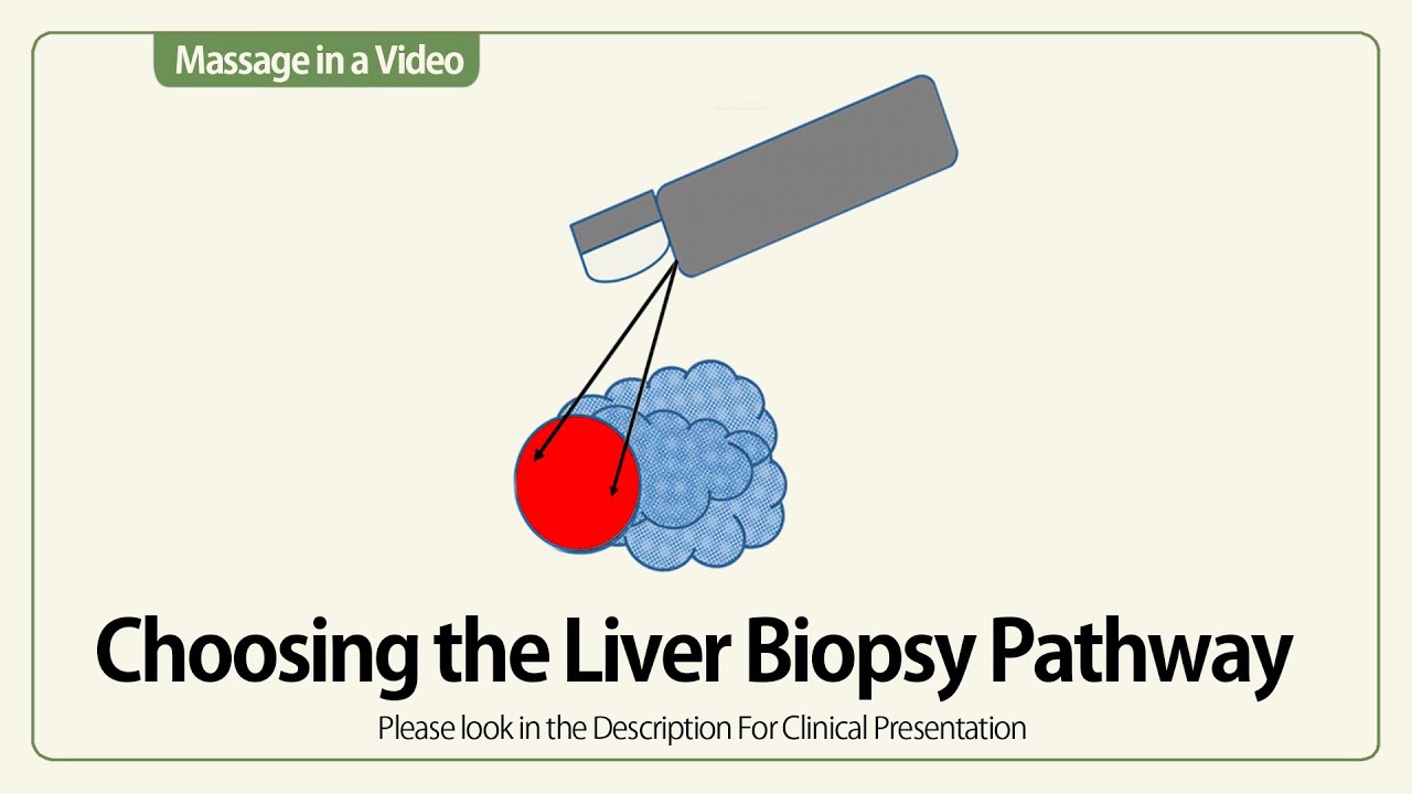 Linear EUS Liver Biopsy Pathway YouTube