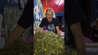 Il maestro ha raccolto tanta rucola. Grazie mille ancora Leonardo e massimo vi voglio  tanto bene 🐦🔥