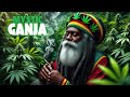 🔥Kingston High 2025 | Deep Roots & Dub Reggae Mix