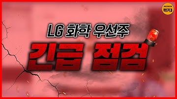 긴급점검 LG화학 우선주