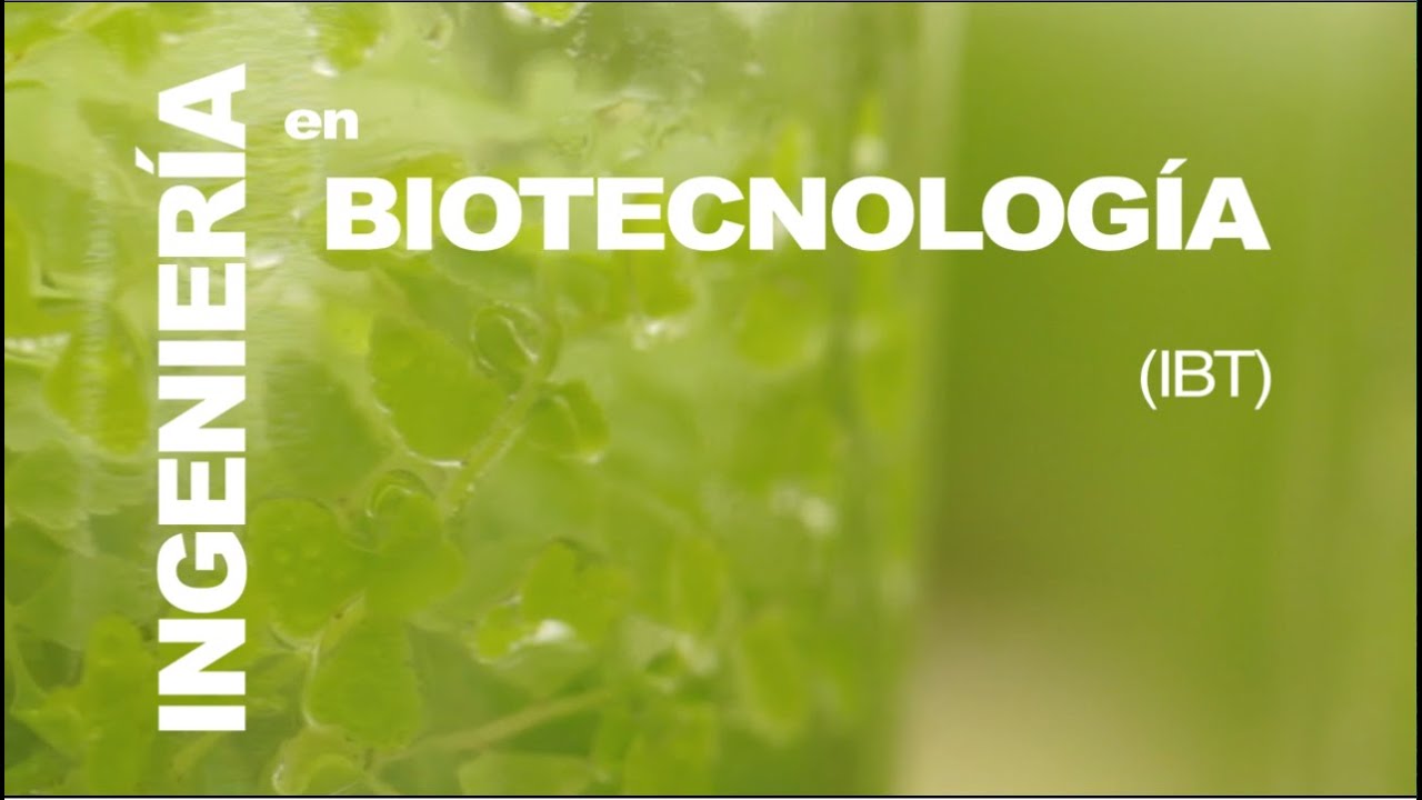 Ingenieria En Biotecnologia Ibt En El Tec De Monterrey Youtube